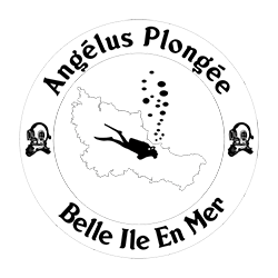 Angelus Plongée, Bretagne - Morbihan, formation du Niveau 1 au Niveau 3
